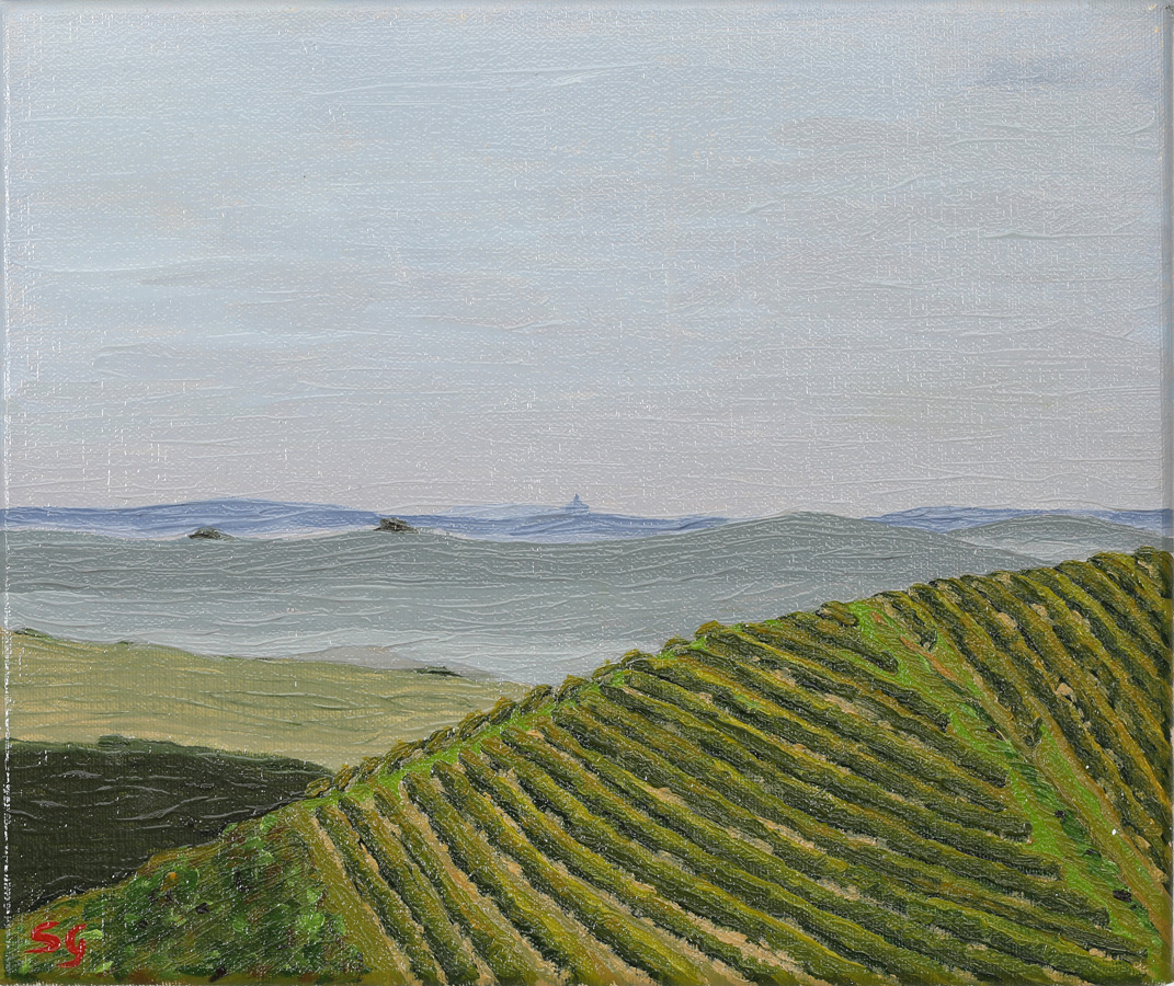 Vigne e colline